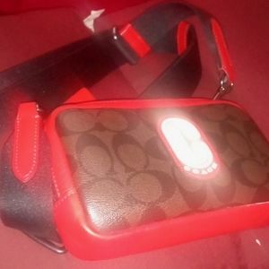 Carrier Phone Crossbody In Colorblock Signature Canvas With Coach Patch